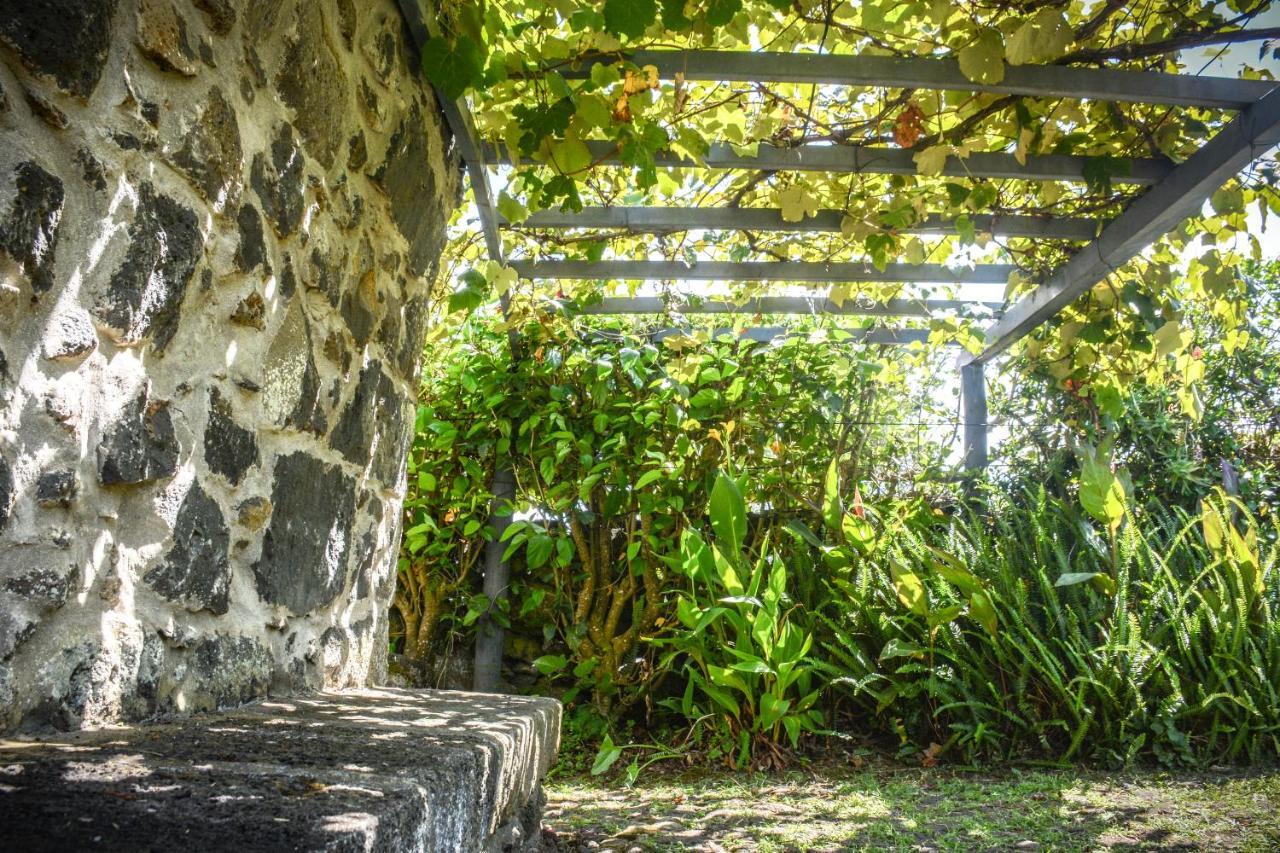 サンタ・クルス・ダ・グラシオーザ Quinta Dos Frutosヴィラ エクステリア 写真