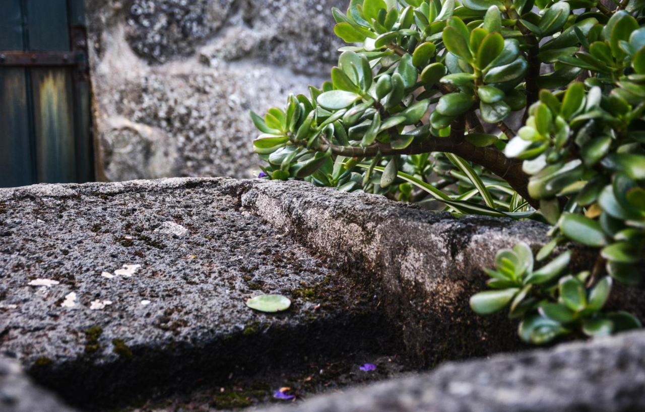 サンタ・クルス・ダ・グラシオーザ Quinta Dos Frutosヴィラ エクステリア 写真