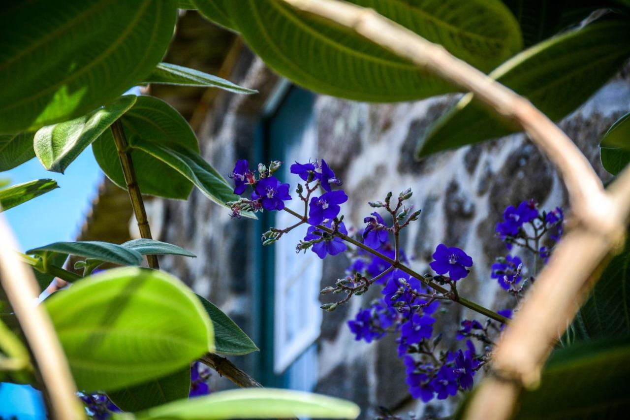 サンタ・クルス・ダ・グラシオーザ Quinta Dos Frutosヴィラ エクステリア 写真