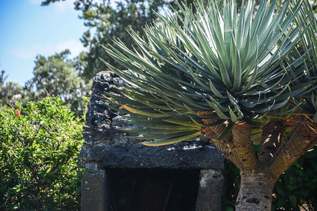 サンタ・クルス・ダ・グラシオーザ Quinta Dos Frutosヴィラ エクステリア 写真
