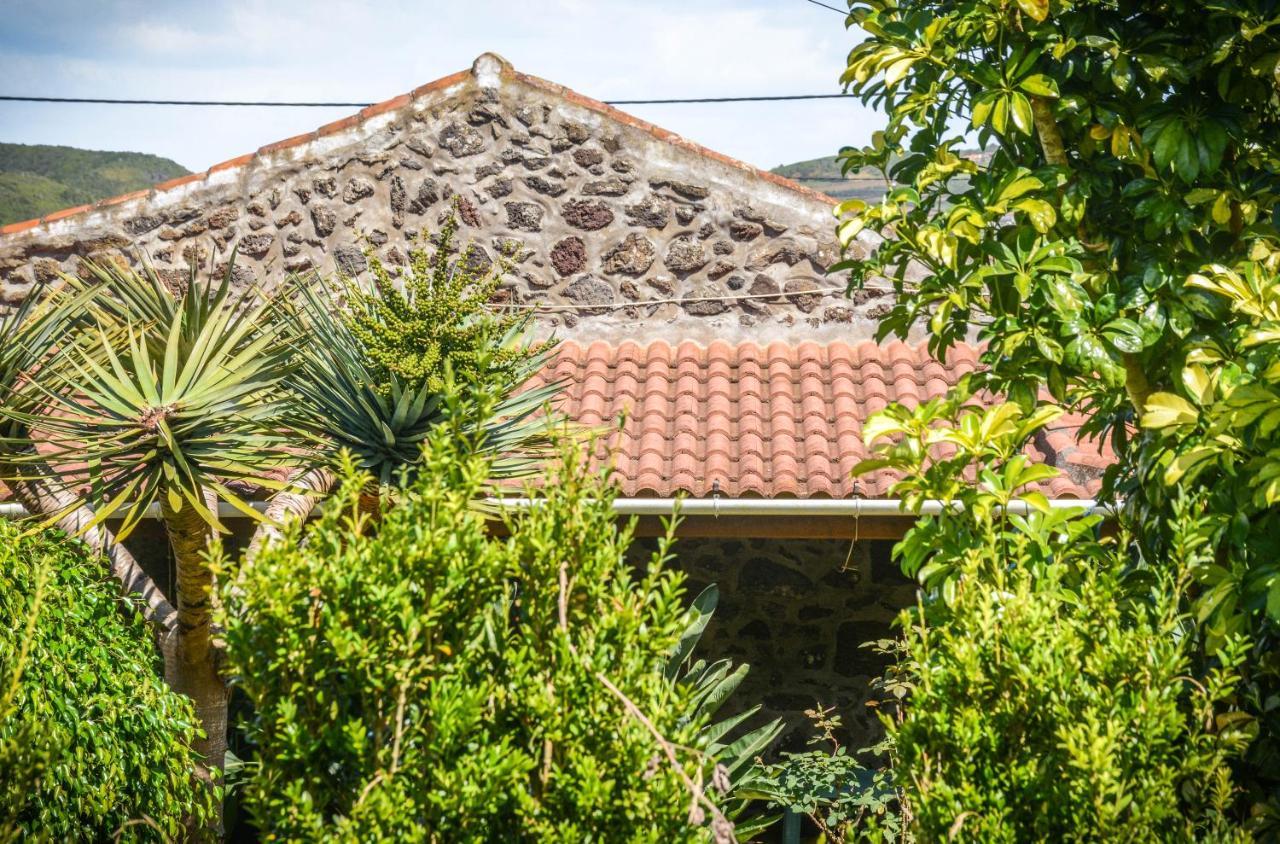 サンタ・クルス・ダ・グラシオーザ Quinta Dos Frutosヴィラ エクステリア 写真