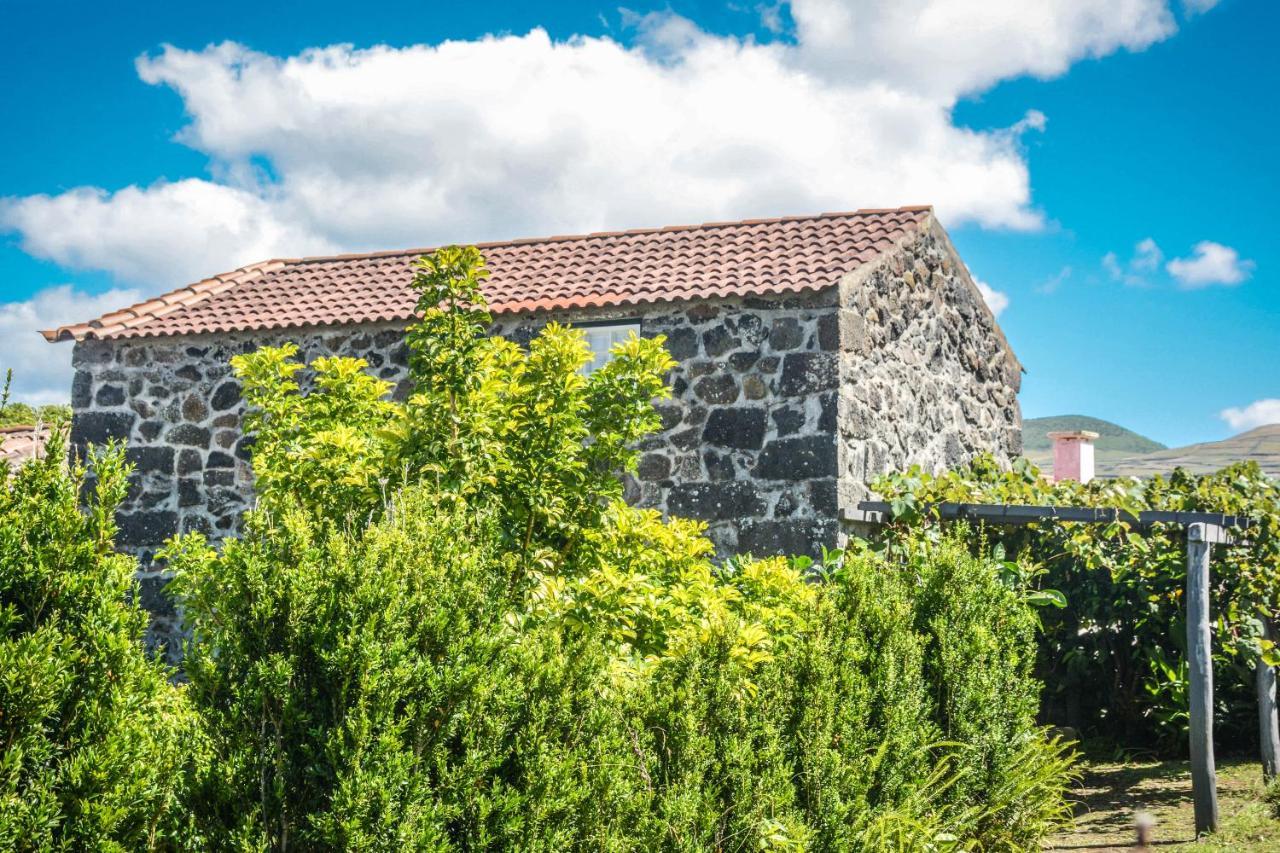 サンタ・クルス・ダ・グラシオーザ Quinta Dos Frutosヴィラ エクステリア 写真