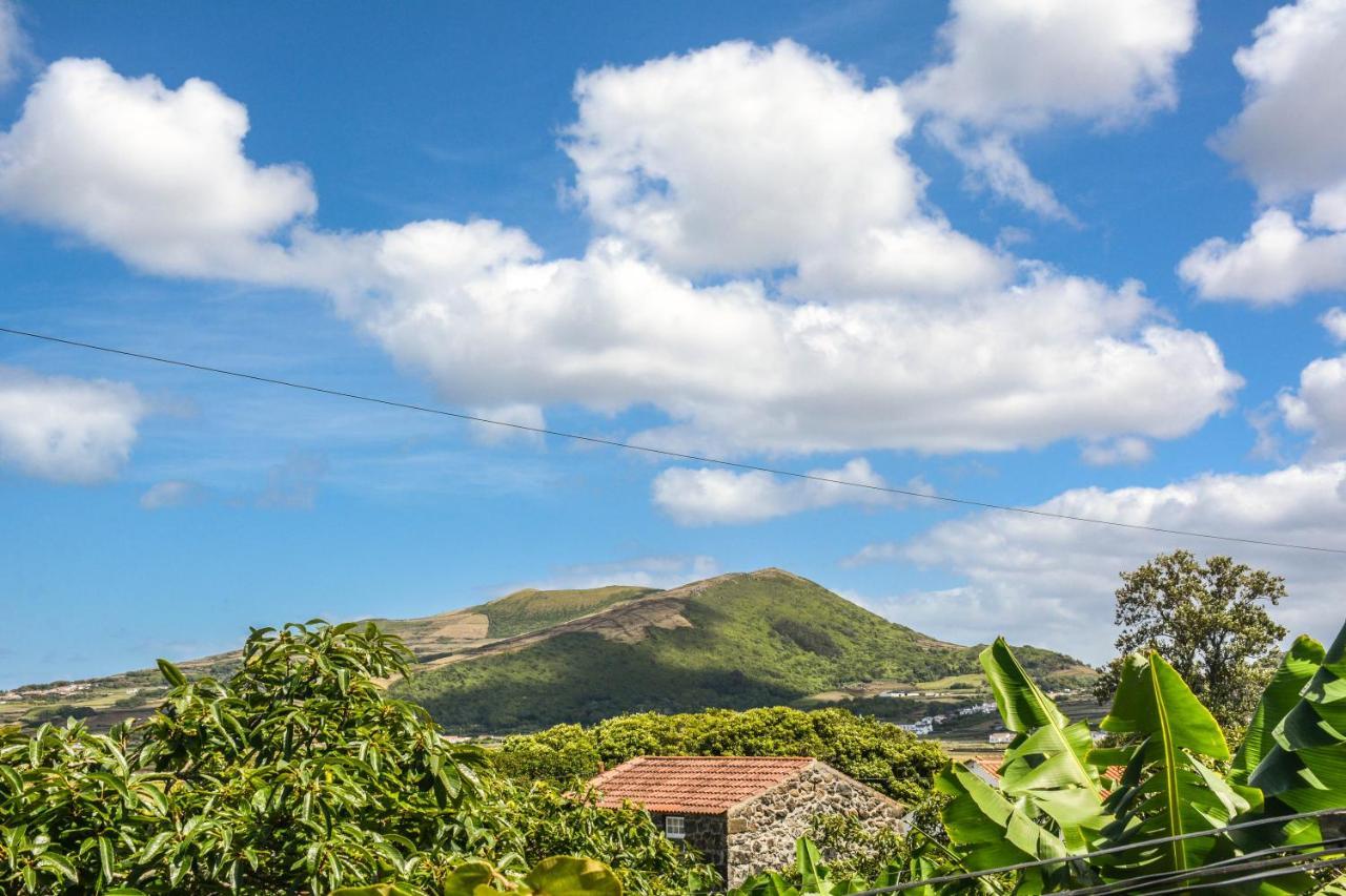 サンタ・クルス・ダ・グラシオーザ Quinta Dos Frutosヴィラ エクステリア 写真
